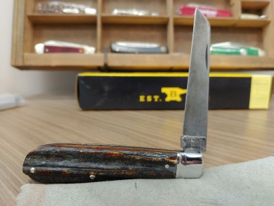 waynorth stag2.jpg
