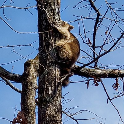 20220327_141708.jpg