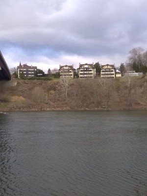 2022-03-27_08-44-36_-_hiking.jpg