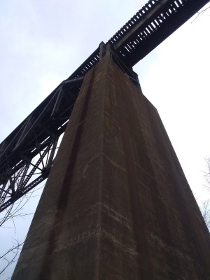 IMG_20220327_085519800.jpg
