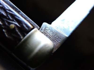 DSCN9647.JPG