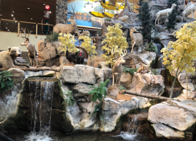 Cabela-s-Taxidermy-Display_D0141AB4-5056-A36F-23D63C9A46C18B45-d01419e35056a36_d0141b0a-5056-a36f-233fe495b579d117.png