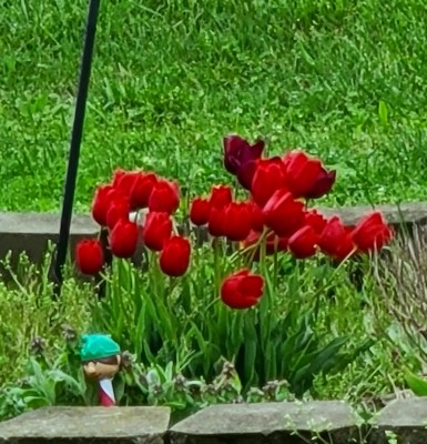 20220413_110321.jpg