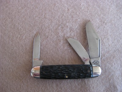Pal.cut..JPG