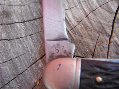 DSCF5271.JPG