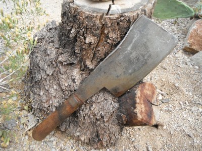 DSCF5553.JPG