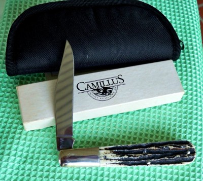 Camallus 04 CCC Barlow Stag_c.JPG