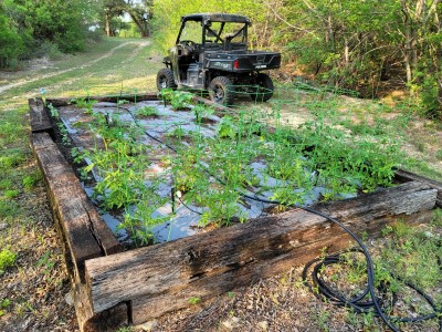 20220509_184247.jpg