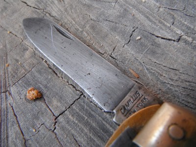 DSCF6150.JPG