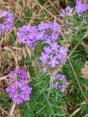 20220523_083637.jpg
