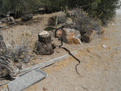 DSCF6219.JPG