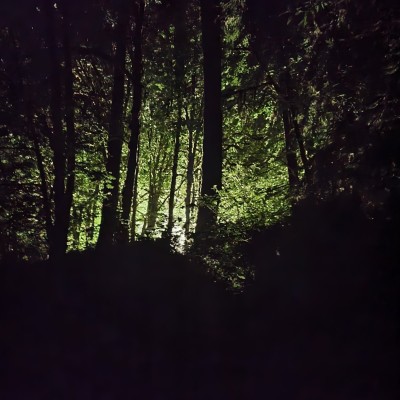 20220529_235332.jpg