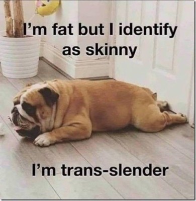 Animal-Humor 2-1.jpg