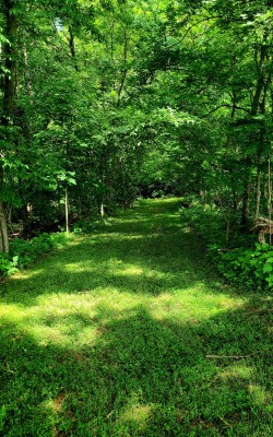 20220601_144917.jpg