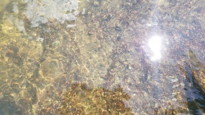 20220604_104140.jpg