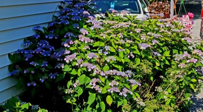 20220605_092545.jpg
