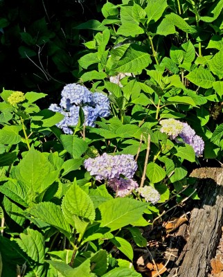 20220605_092532.jpg