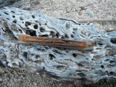 DSCF6643.JPG