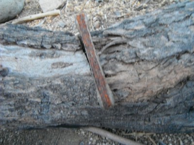 DSCF6645.JPG