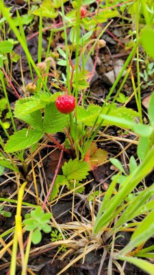 20220613_105357.jpg
