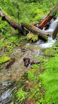 20220613_093102.jpg