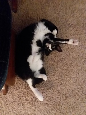 20220612_203333.jpg