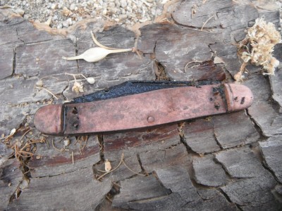 DSCF6729.JPG
