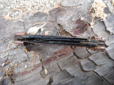 DSCF6730.JPG