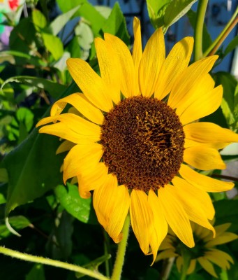 20220618_071537.jpg