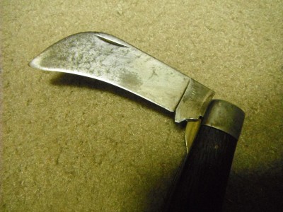 DSCF6777.JPG