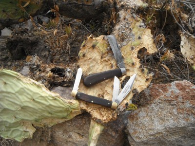 DSCF6728.JPG
