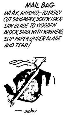 image.jpeg