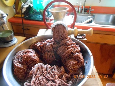 2nd grinding after mixing venison, pork shoulder and spices.