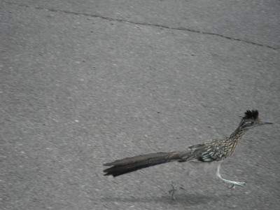 DSCF6856.JPG