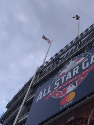 IMG_20220714_183121252.jpg