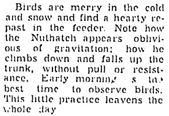 The Only Part Of A LONG Letter To The Editor <br />That Is Relevant To This Topic Or Thread.