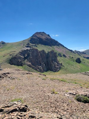 20220721_111511.jpg