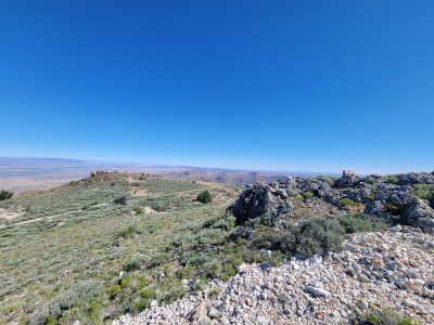 20220721_095739.jpg