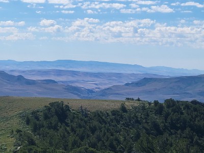 20220721_095541.jpg