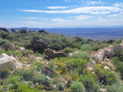 20220721_095442.jpg