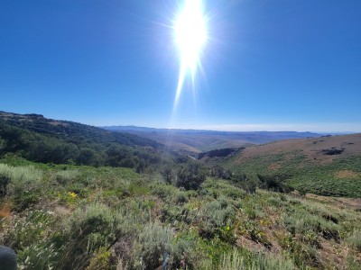 20220722_084113.jpg