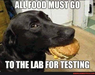 871B06D1-5897-44BE-8F62-C31A1C13A485.jpeg