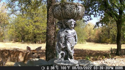 DSCF0086.JPG