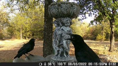 DSCF0132.JPG