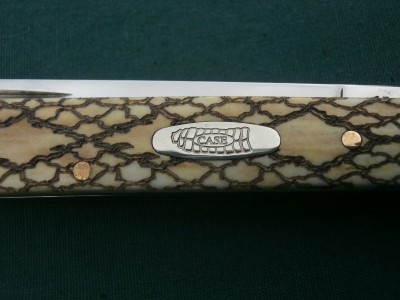 rattle shield.JPG
