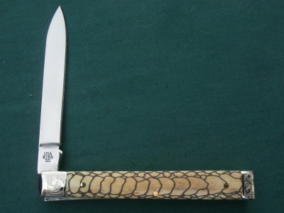 Case 6185 Rattlesnake Doctor.JPG