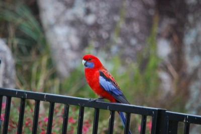 DSC_3080.JPG