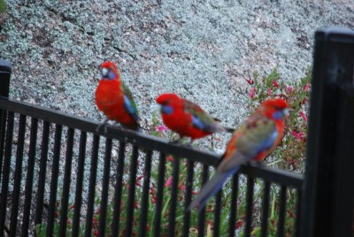 DSC_3082.JPG