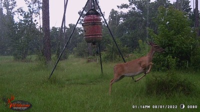 Gotta' go, gonna' get wet!