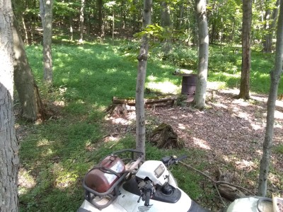 IMG_20220811_164646185.jpg